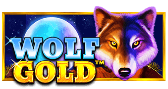Обкладинка слота Wolf Gold від Pragmatic Play
